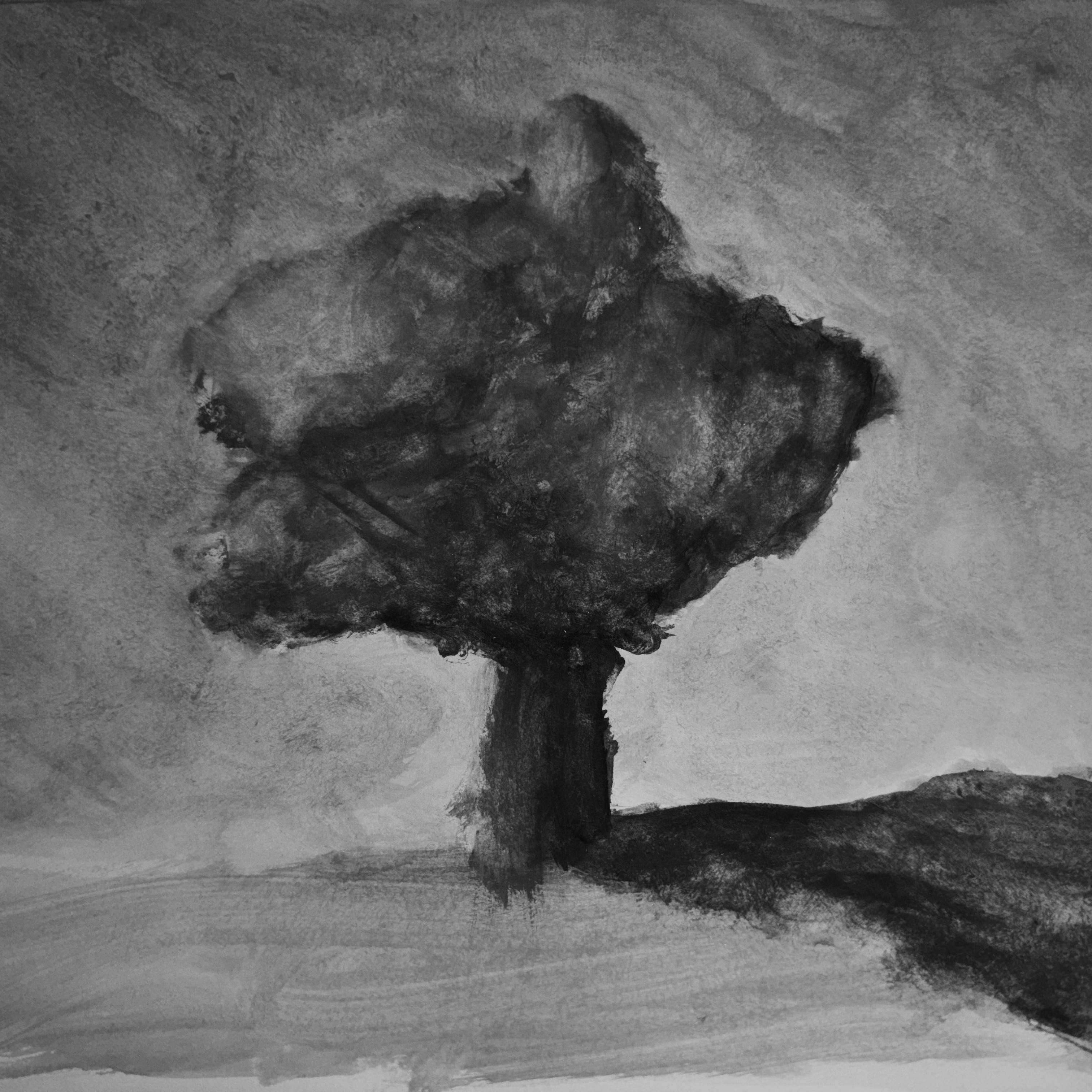 The Sound Of Noise